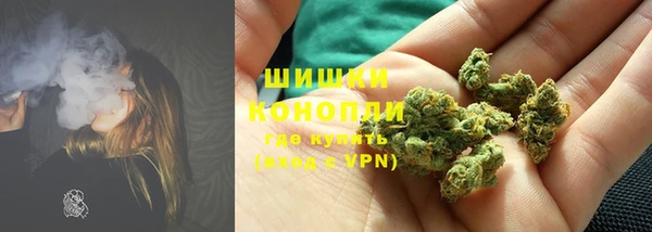 дурь Инсар