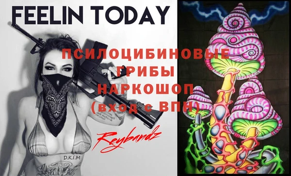 дурь Инсар