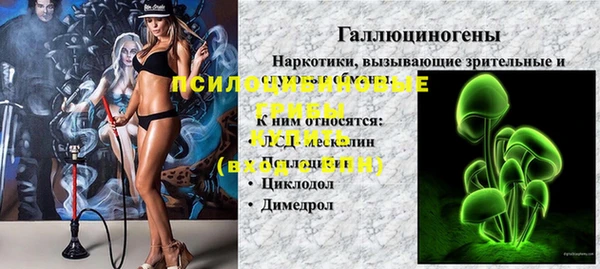 дурь Инсар