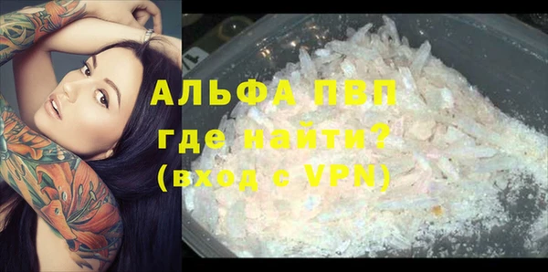 дурь Инсар