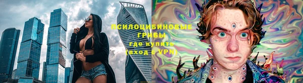 дурь Инсар