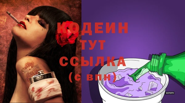 дурь Инсар