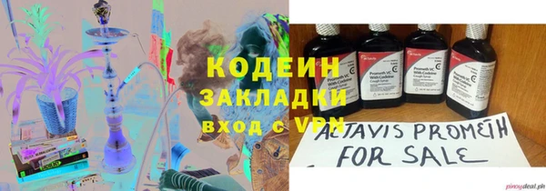 дурь Инсар