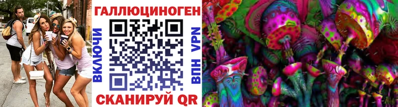 Купить  Боровичи  Галлюциногенные грибы MAGIC MUSHROOMS 